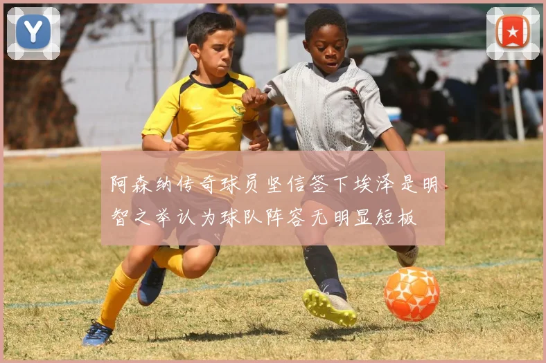 阿森纳传奇球员坚信签下埃泽是明智之举认为球队阵容无明显短板